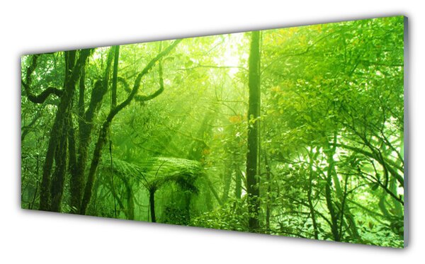 Obraz na Szkle Drzewa Natura