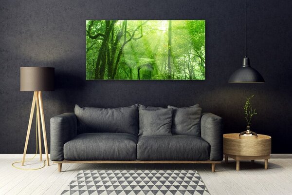 Obraz na Szkle Drzewa Natura