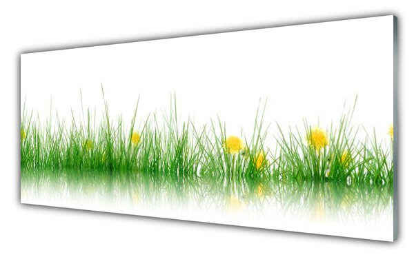 Obraz Szklany Natura Trawa Kwiaty