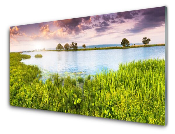 Obraz Szklany Trawa Jezioro Przyroda