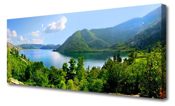 Duży obraz na płótnie Panorama Alpejskiej Natury