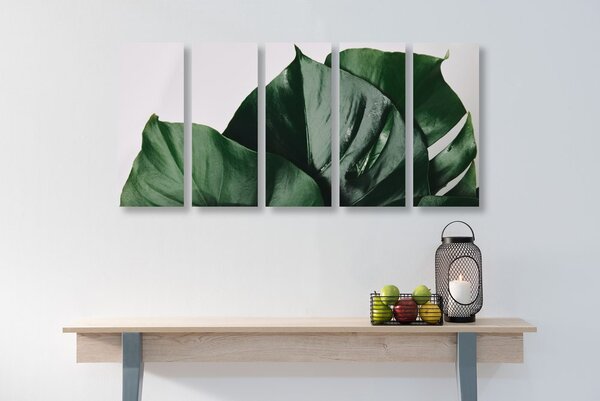 5-częściowy obraz liść monstera
