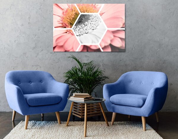 Obraz gerbera w sześciokącie