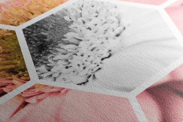 Obraz gerbera w sześciokącie