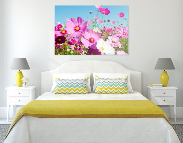 Obraz łąka wiosennych kwiatów
