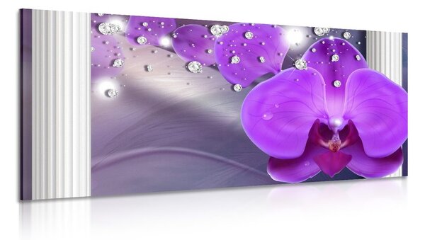 Obraz orchidea przy greckich kolumnach