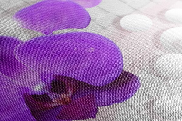 Obraz orchidea na abstrakcyjnym tle