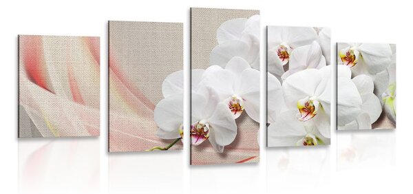 5-częściowy obraz biała orchidea na płótnie