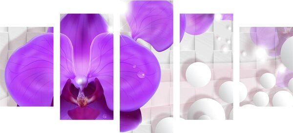 5-częściowy obraz orchidea na abstrakcyjnym tle