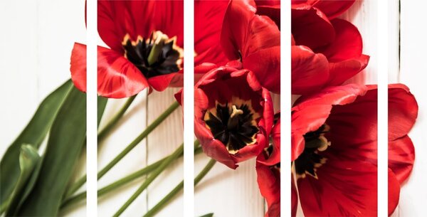 5-częściowy obraz kwitnące czerwone tulipany