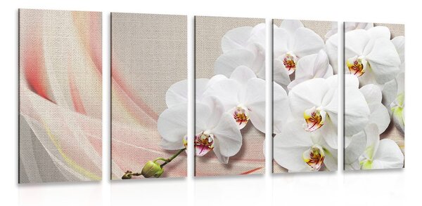 5-częściowy obraz biała orchidea na płótnie