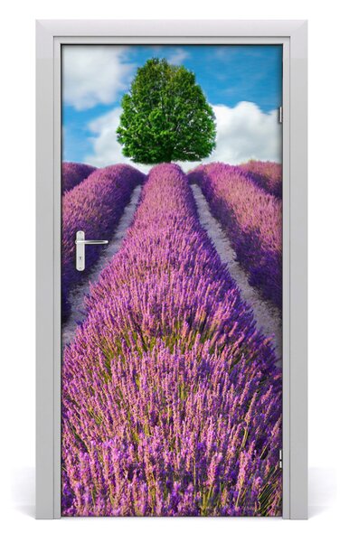 Naklejka fototapeta na drzwi Pole lawendy