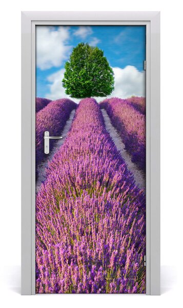 Naklejka fototapeta na drzwi Pole lawendy