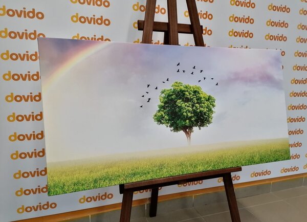 Obraz samotne drzewo na łące