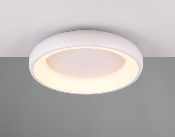 Biała lampa sufitowa LED ze ściemniaczem Cardona – Trio