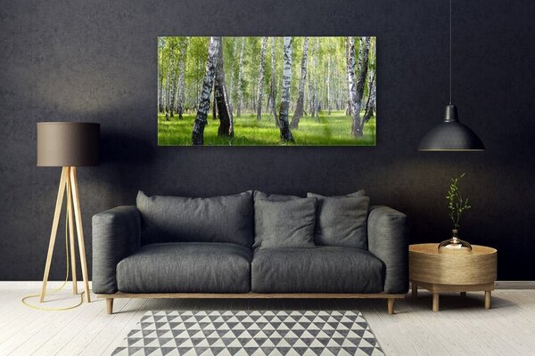 Obraz na Szkle Las Drzewa Natura