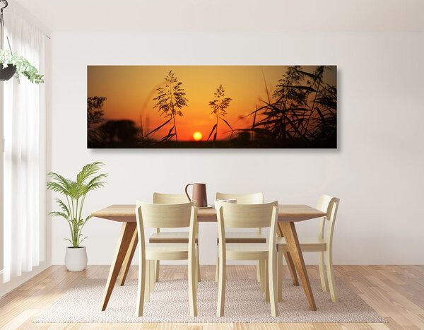 Obraz źdźbła trawy o zachodzie słońca