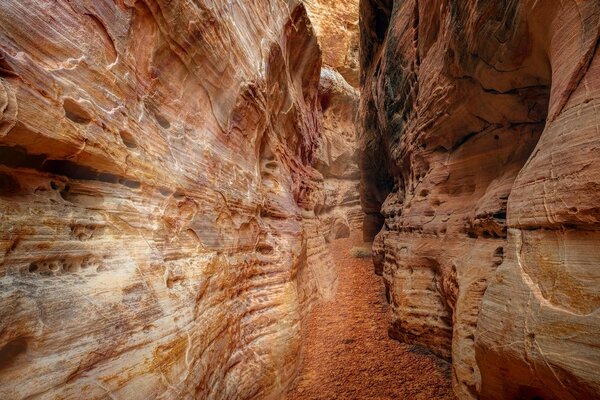 Obraz droga przez Grand Canyon