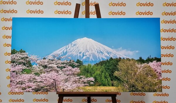 Obraz góra Fuji