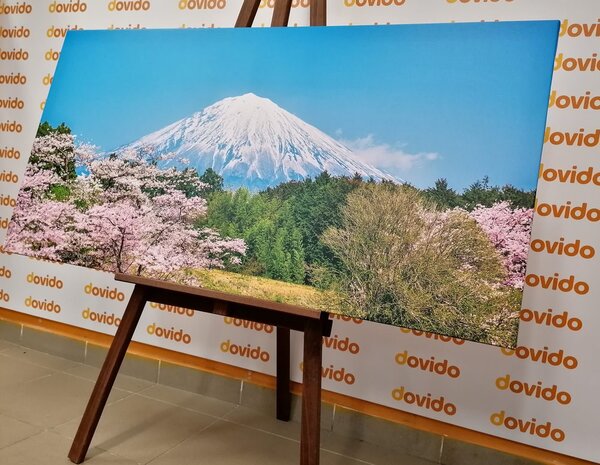 Obraz góra Fuji