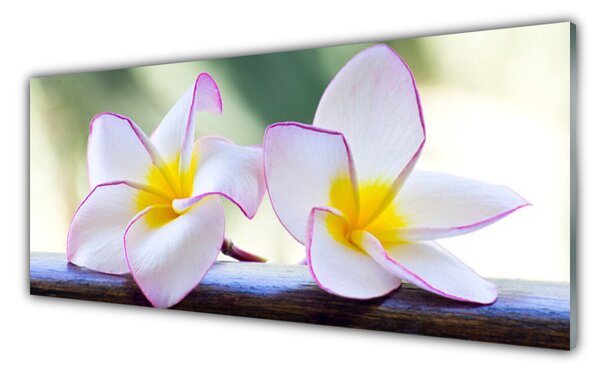Obraz Szklany Kwiaty Płatki Plumeria