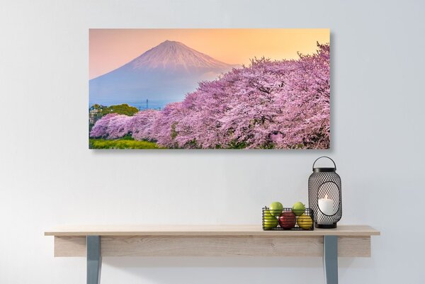 Obraz piękna Japonia