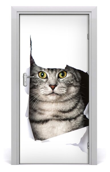 Fototapeta samoprzylepna na drzwi Kot w dziurze