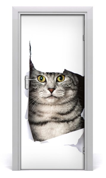 Fototapeta samoprzylepna na drzwi Kot w dziurze