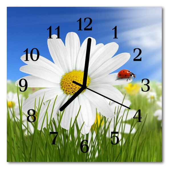 Zegar ścienny kwadrat Biedronka kwiat