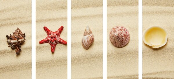 5-częściowy obraz muszle na piaszczystej plaży