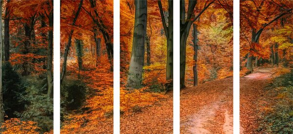 5-częściowy obraz las jesienią
