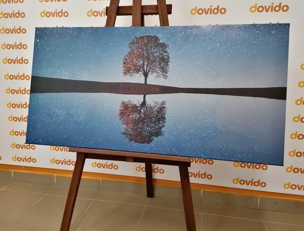 Obraz rozgwieżdżone niebo nad samotnym drzewem