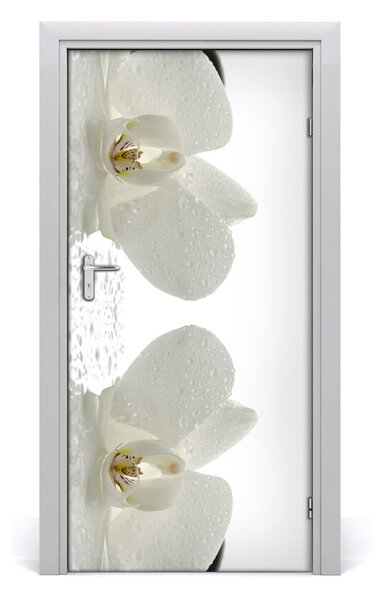 Naklejka samoprzylepna okleina Orchidea i kamienie