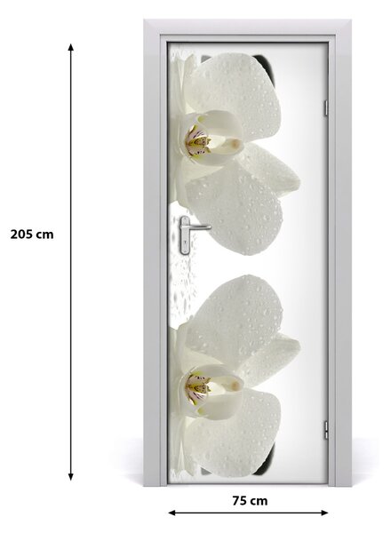 Naklejka samoprzylepna okleina Orchidea i kamienie