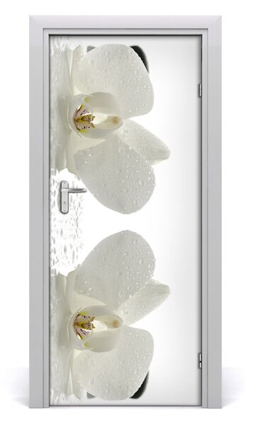 Naklejka samoprzylepna okleina Orchidea i kamienie