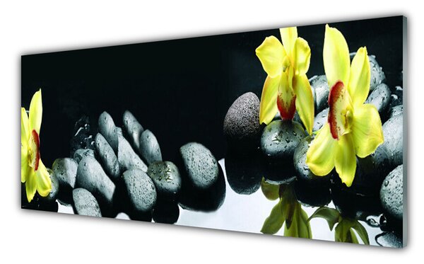 Obraz na Szkle Kwiat Orchidea