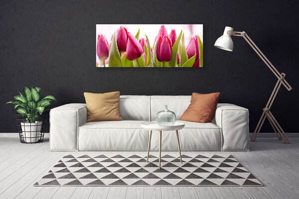 Obraz canvas Wiosenne Pole Tulipanów
