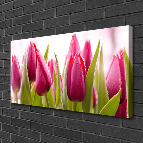 Obraz canvas Wiosenne Pole Tulipanów