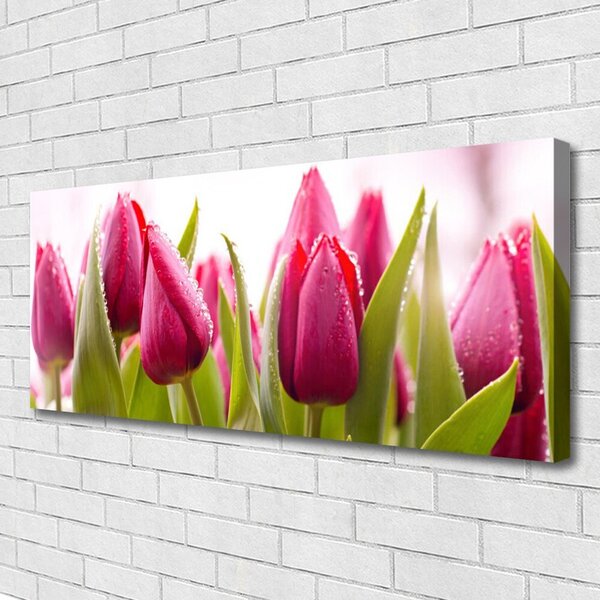Obraz canvas Wiosenne Pole Tulipanów