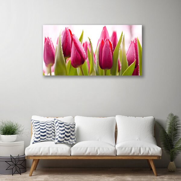 Obraz canvas Wiosenne Pole Tulipanów