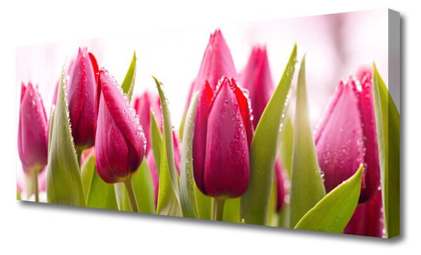 Obraz canvas Wiosenne Pole Tulipanów