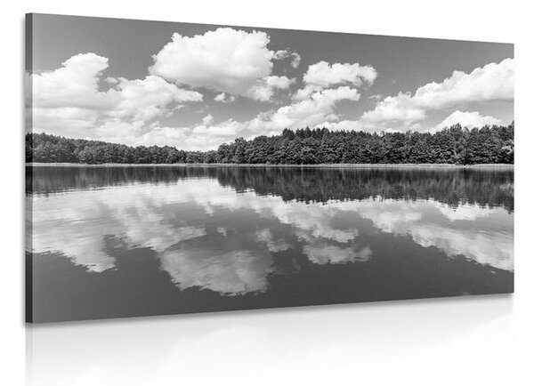 Obraz natura w lecie w wersji czarno-białej