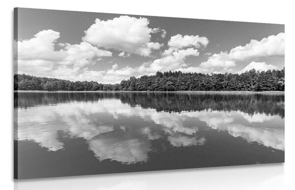 Obraz natura w lecie w wersji czarno-białej