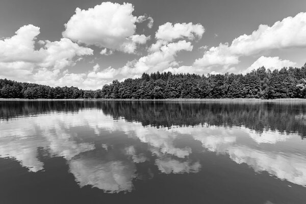 Obraz natura w lecie w wersji czarno-białej