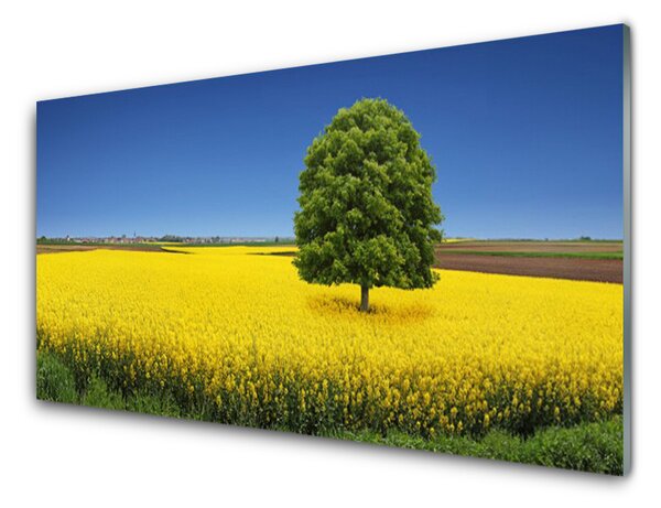 Obraz Szklany Łąka Drzewo Natura Pole