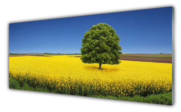 Obraz Szklany Łąka Drzewo Natura Pole