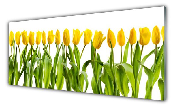 Obraz Szklany Tulipany Kwiaty Natura