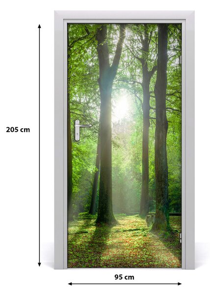 Naklejka fototapeta na drzwi Słońce w lesie