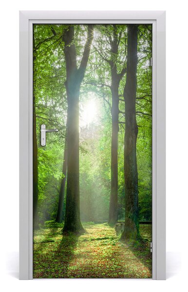 Naklejka fototapeta na drzwi Słońce w lesie