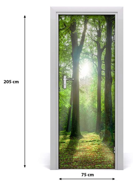 Naklejka fototapeta na drzwi Słońce w lesie